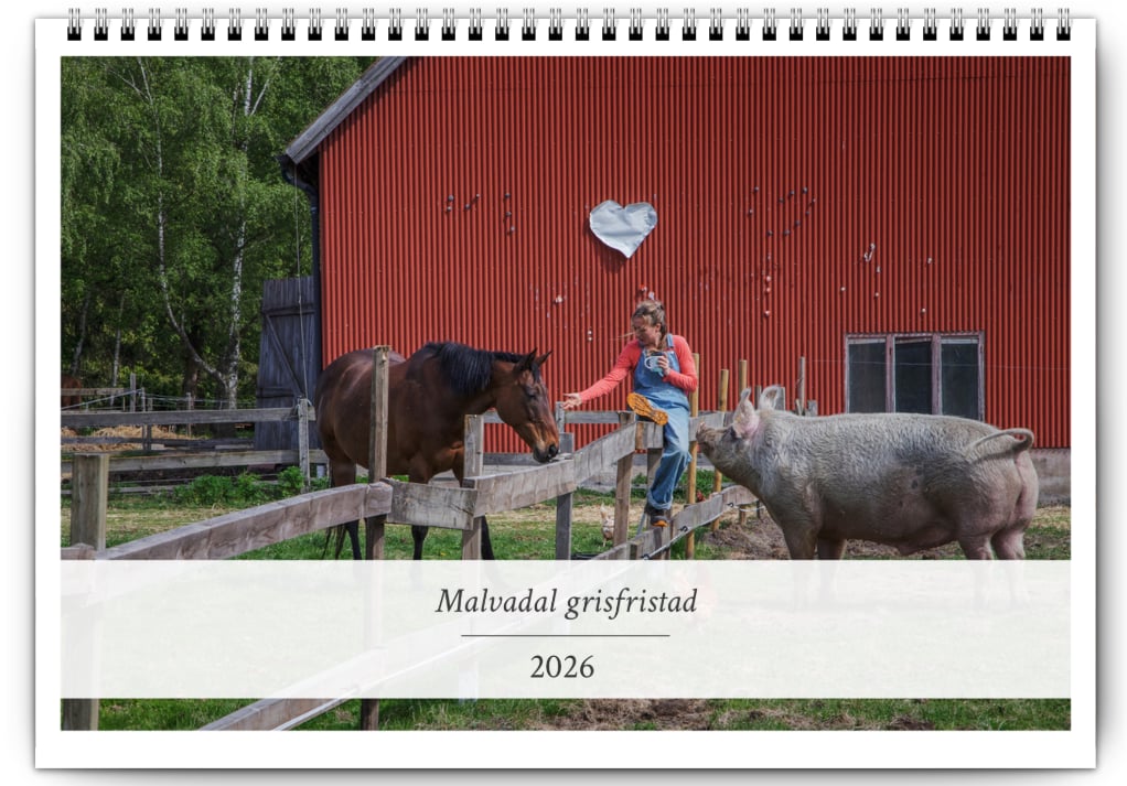 Kalender 2026
