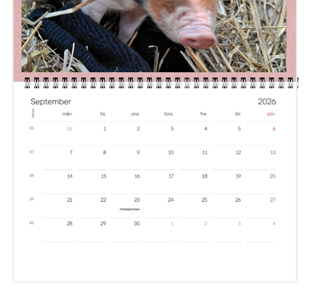 Kalender 2026