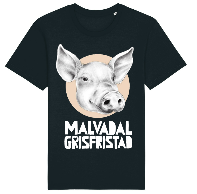 T-shirt: Malvadal